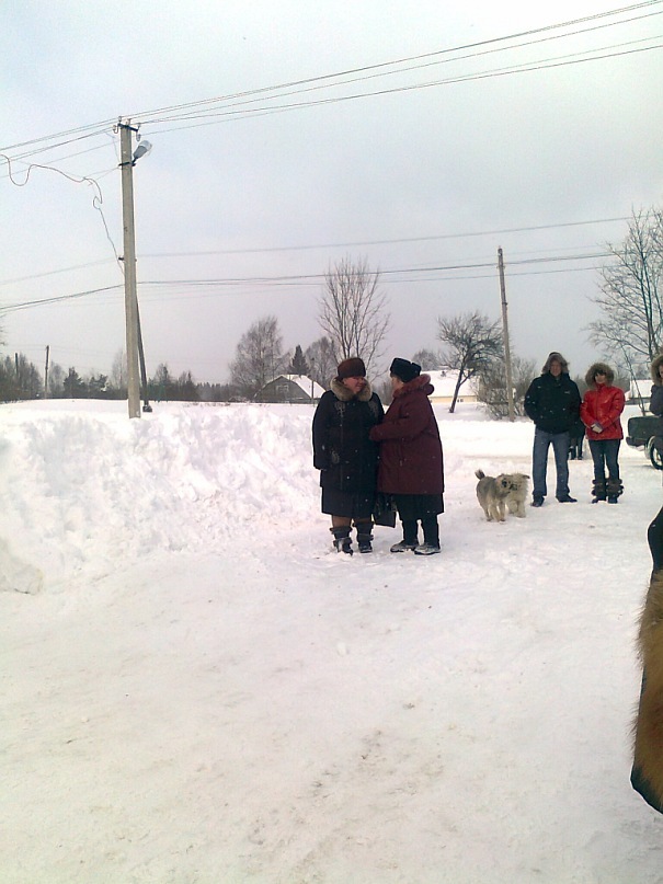 Сергей Румянцев фотография #14