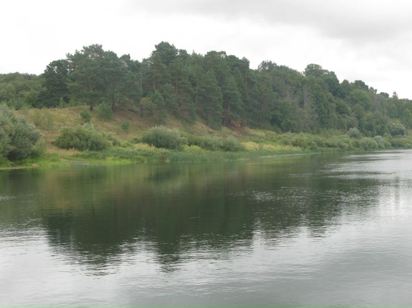 Андрей Курицын фотография #18