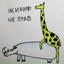 Фотография Шихаревой Дарьи