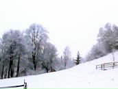 Василь Любоємський фотография #23 (источник - https://vk.com/id124003979)