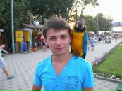 Фотография  