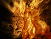 Фотография Плеханова Сергея