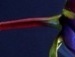 Наталя Біленька фотография #4 (источник - https://vk.com/id89873107)