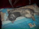Віка Ремез фотография #11 (источник - https://vk.com/id138187977)