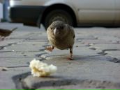 Фотография Макаровой Юлии