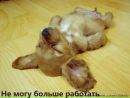 Фотография Кульневич Веры