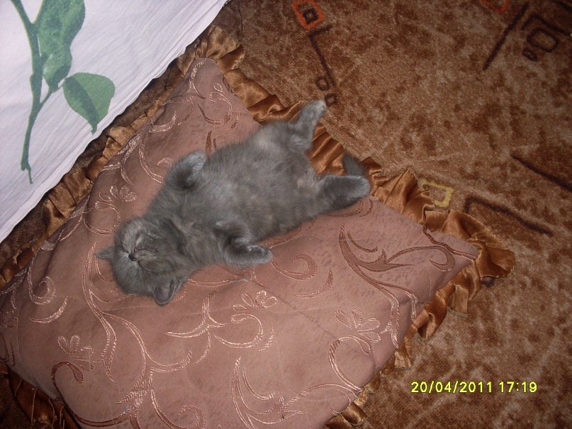 Дмитрий Федоров фотография #46