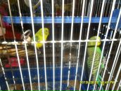 Іринка Рибак фотография #48 (источник - https://vk.com/id69663600)