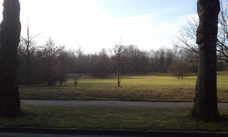 Danilo Jojic фотография #25