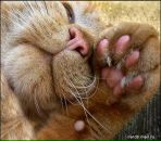 Фотография Закупневой Виктории