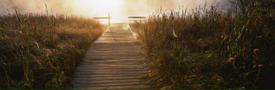 Дина Лебедева фотография #14 (источник - https://vk.com/id651702)