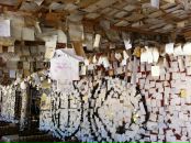 Андрей Спирин фотография #44 (источник - https://vk.com/id7919906)