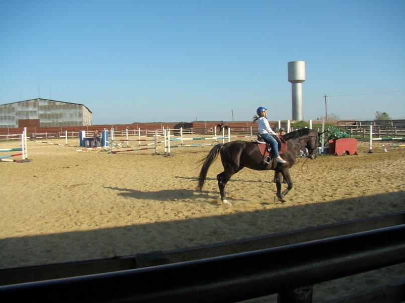 Лиза Иценко фотография #45