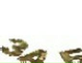 Сергій Федишин фотография #2 (источник - https://vk.com/id136257979)