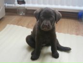 Фотография Засмолиной Натальи