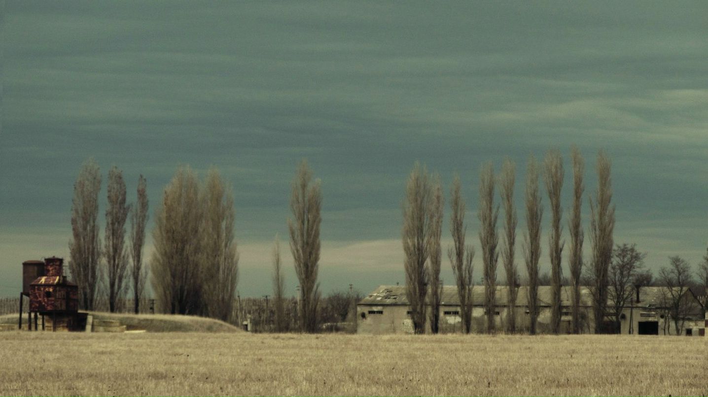 Евгений Савин фотография #42