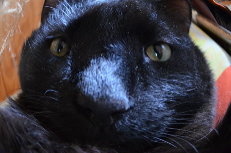 Иван Соболев фотография #22