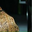 Олєг Яроцький фотография #8 (источник - https://vk.com/id153671737)