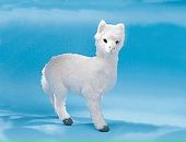 Фотография Звоновой Ксении