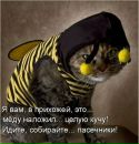 Анатолій Оношко фотография #33 (источник - https://vk.com/id2382936)