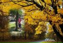 Катюша Щочкіна фотография #11 (источник - https://vk.com/id137981636)