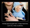 Вова Капітоненко фотография #11 (источник - https://vk.com/id116587870)