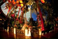 Олеся Потес фотография #4 (источник - https://vk.com/id2425503)