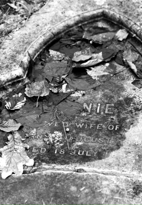 Ден Потипа фотография #13