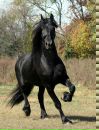 Big Magic фотография #41 (источник - https://vk.com/id7125496)