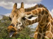 Фотография Савиной Алеси