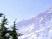Іруська Матіїшин фотография #30 (источник - https://vk.com/id57759997)