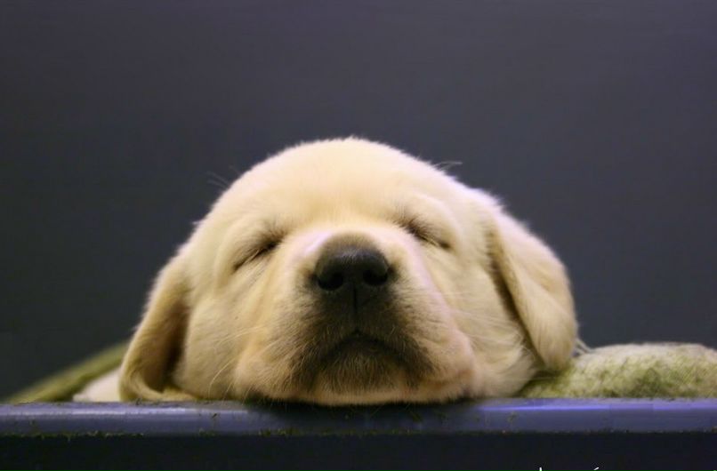 Елена Тимко фотография #17