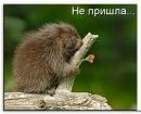 Аделіна Владімова фотография #7 (источник - https://vk.com/id143075784)