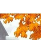 Катруся Полівода фотография #25 (источник - https://vk.com/id99062216)