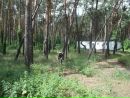 Андрій Ритвінський фотография #18 (источник - https://vk.com/id36806994)