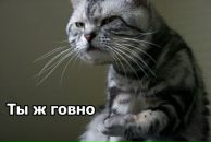 Фотография Сергеевича Данила