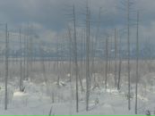 Сергей Колпаков фотография #36 (источник - https://vk.com/id3877418)
