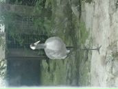 Інна Орсуляк фотография #24 (источник - https://vk.com/id70215560)