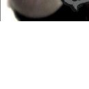 Андрій Бортник фотография #21 (источник - https://vk.com/id103194868)