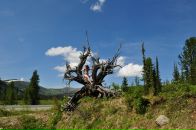 Евгений Иванов фотография #49 (источник - https://vk.com/id3704502)