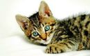 Фотография Котова Сергея