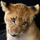 Фотография Смирновой Елены