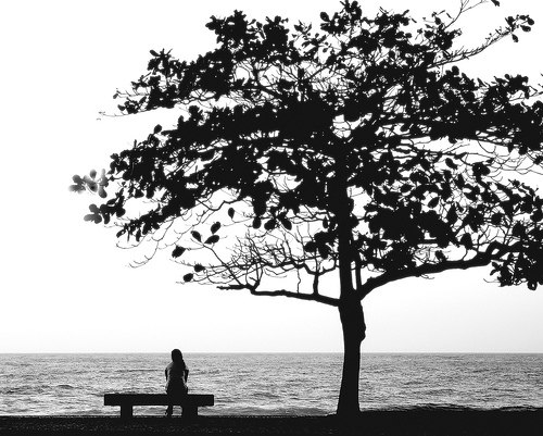 №15, Лилия Овсянникова №15, Лилия Овсянникова