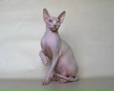 Фотография Аникиной Натальи