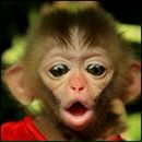 Фотография Макарова Васи