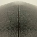 Фотография Фошина Павла