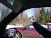 Фотография Щербаковой Аллы