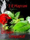 Валік Панкулич фотография #21 (источник - https://vk.com/id146635965)