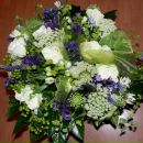 Фотография Деревеницкой Катрины