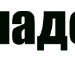  фотография #33